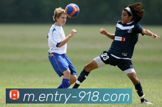 App Interface Preview